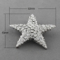 Preview: AH 0188 - Anhänger "Seestern mit Strass"