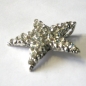 Preview: AH 0304 - Anhänger "Seestern" mit Strass