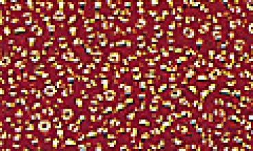 Miyuki Rocailles (mit Silbereinzug) mandarin, 2mm