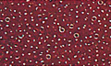 P-K-5506-141 - Miyuki Rocailles (transparent) rot, 2mm