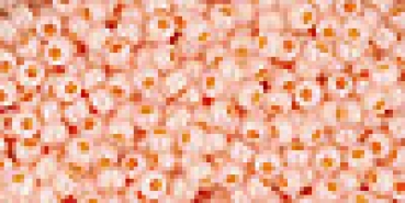 TR-11-904 - Toho Rocailles 11/0, 2,2 mm, Ceylon Apricot