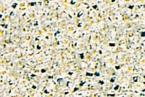 P-K-5506-111 - Miyuki Rocailles (hexagonal, mit Silbereinzug) silber, 2mm