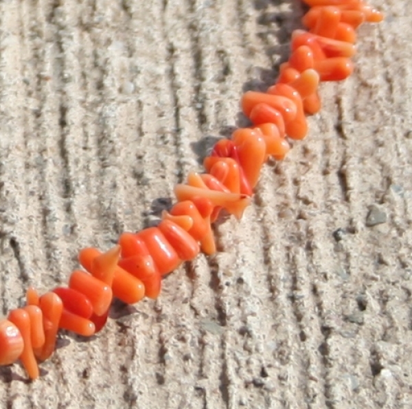 E 0018 - Verlängerung Korallensplitter