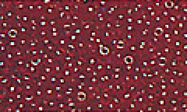 P-K-5506-141 - Miyuki Rocailles (transparent) rot, 2mm
