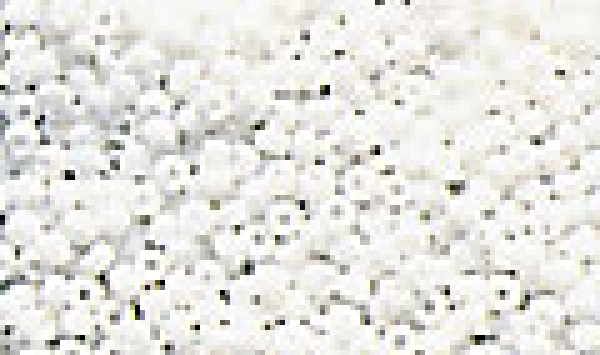 P-K-5506-402 - Miyuki Rocailles (opak) weiß, 2mm