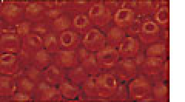 P-K-5507-138 - Miyuki Rocailles (transparent matt), orange, 5mm