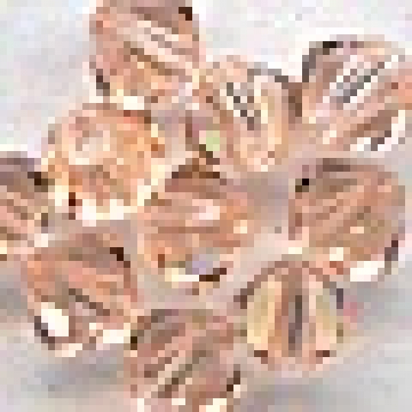 P-P-362-4 - Swarovski-Kristallperle, light peach, 4mm